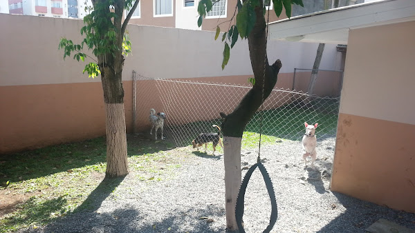 Foto 1 Pet Shop Resort