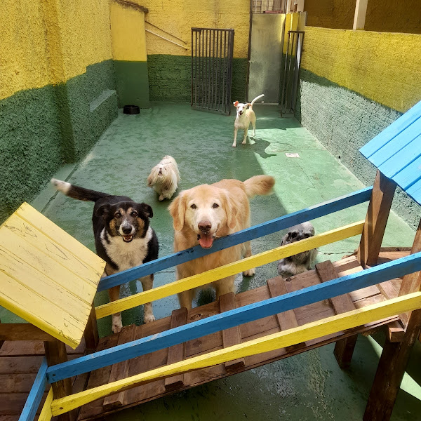 Foto 4 Bem Cuidado Pet