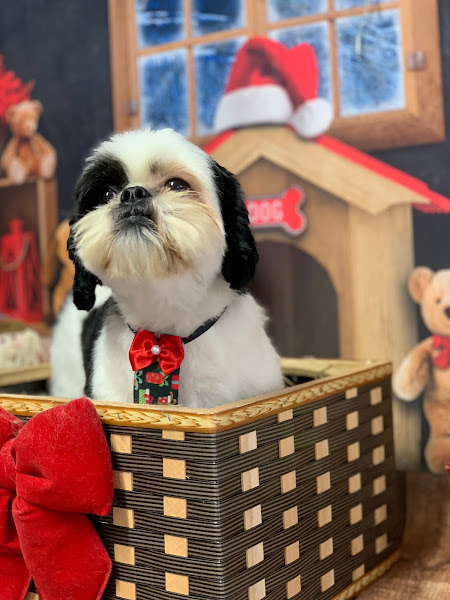 Foto 2 Pet Park Pet Shop