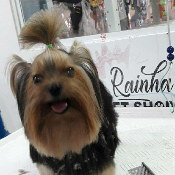 Rainha Pet Shop