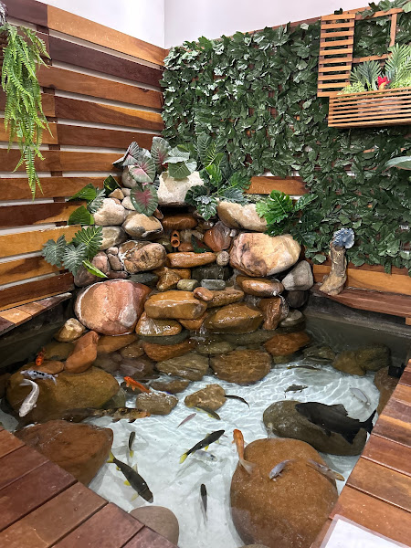 Foto 1 PET SHOP VIDA ANIMAL