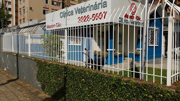 Clínica Veterinária Maestro Cão - Unidade Portão - atendimento 24h na Unidade Av Iguaçu 1649