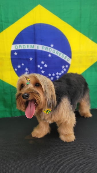 Foto 2 Ideal Patas Pet Shop Creche & Hotel