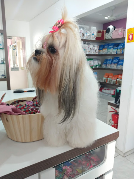 Foto 2 Petshop Spa & Boutique