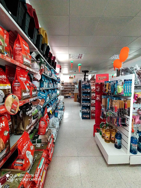 Foto 1 Sinal Verde Pet Shop