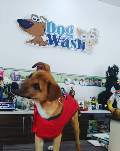 Foto 1 Dog Wash Pet Store