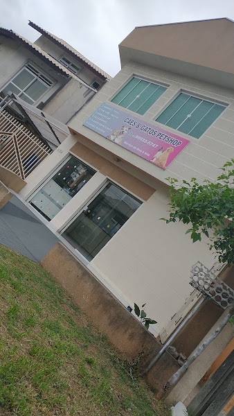 Foto 2 Cães & Gatos Petshop Foto 2 Cães & Gatos Petshop