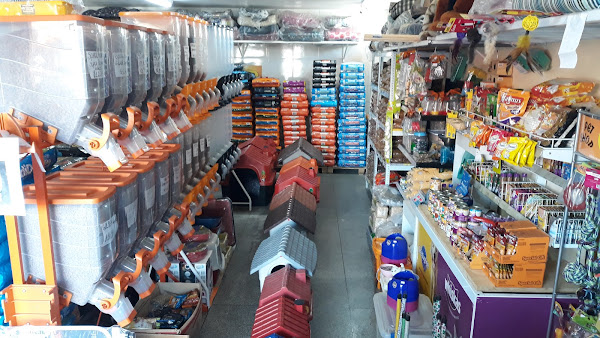 Foto 1 Pet Shop Snoop Dog na Fanny