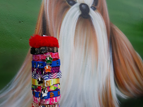 Foto 2 Pet Shop Snoop Dog na Fanny