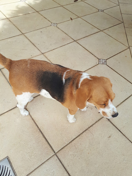 Foto 3 Casa do Pluto