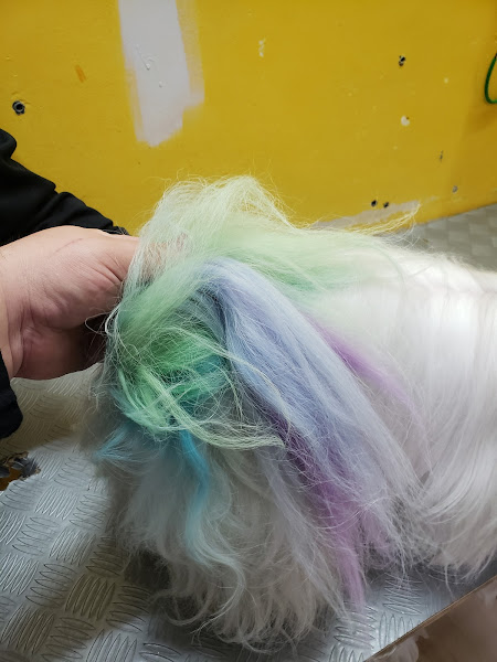 Foto 4 Casa do Pluto