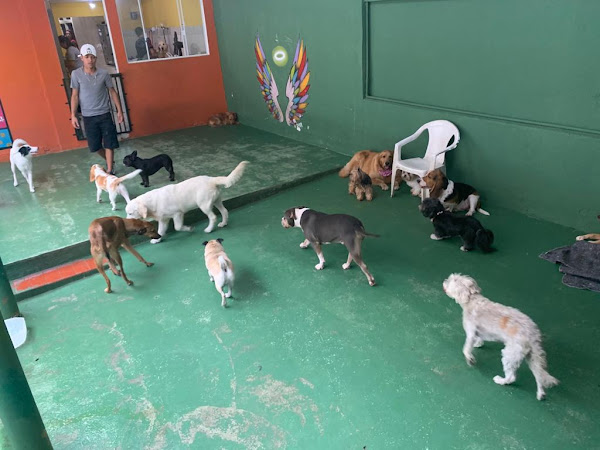 Foto 5 Casa do Pluto