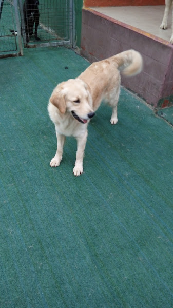 Foto 6 Casa do Pluto Foto 6 Casa do Pluto