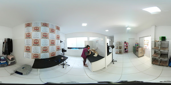 Foto 6 PET SHOP PENÉLOPE