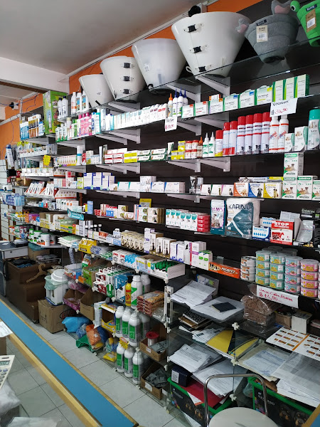 Foto 1 Pet Shop Tingui