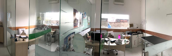 Foto 2 Lilivet Clínica Veterinária em Curitiba