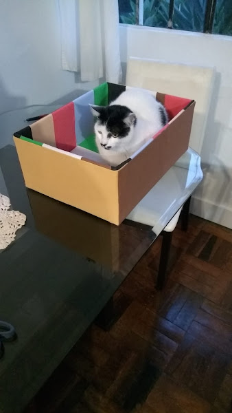 Foto 2 VivaVet Clínica Veterinária