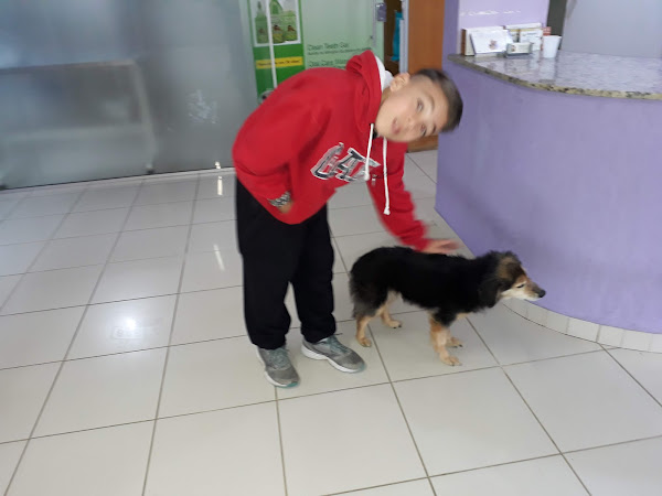 Foto 1 Clínica Veterinaria Baby Dog