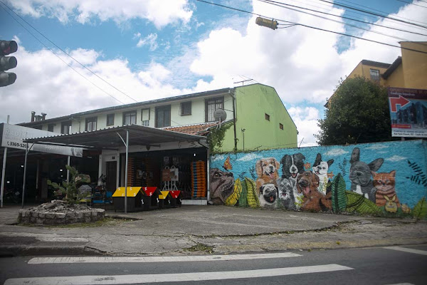 Petfood Casa de rações