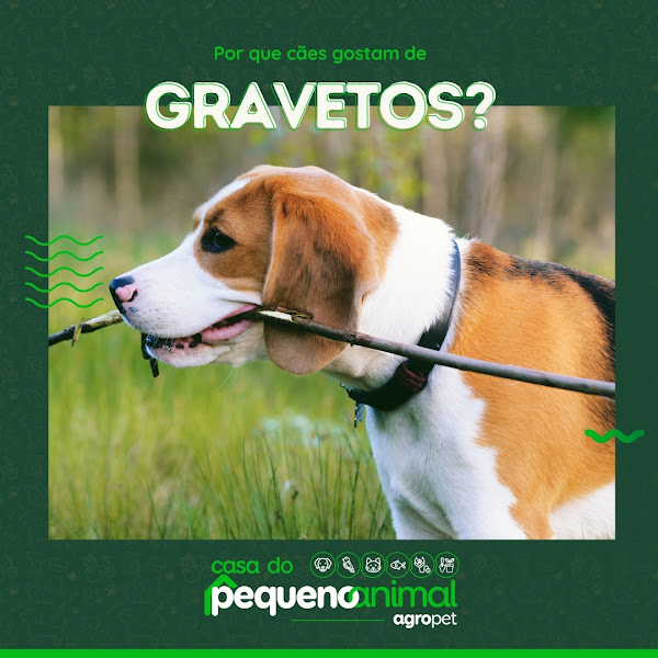 Foto 2 Aviário Casa do Pequeno Animal Agropet