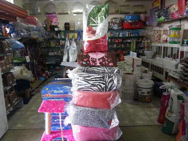 Foto 4 Toca dos Bichos Aviário e Petshop