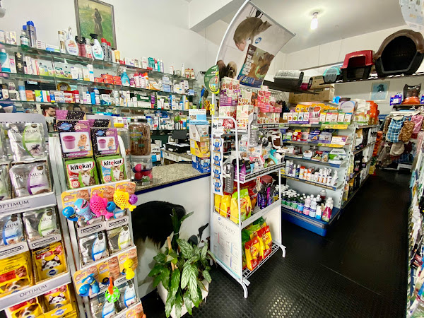 Foto 1 A Casa do Cachorro