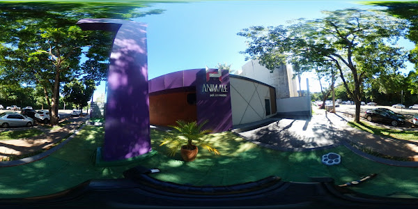 Foto 1 Animale Pet Care Center