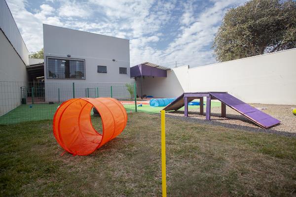 Foto 4 Animale Pet Care Center Foto 4 Animale Pet Care Center