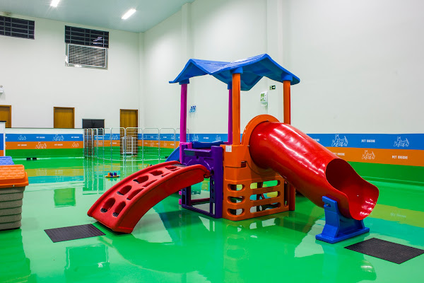 Foto 5 Pet Creche Maringá