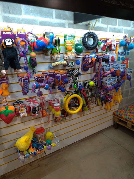 Foto 1 Ondog Pet Club