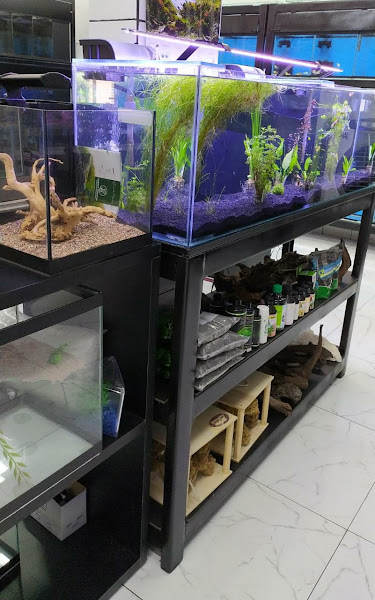 Foto 2 Rações Maringá Pet shop e Aquarismo