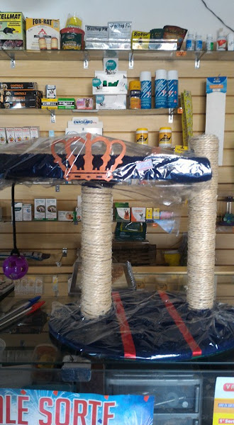 Foto 3 RANCHO VERDE RAÇÕES