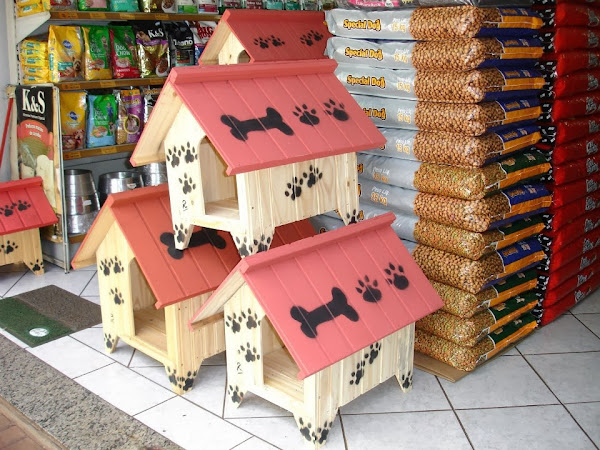 Foto 1 Amicão Pet Shop