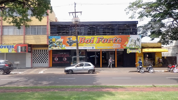 Pet Shop Boi Forte - Aquários e Lagos Projetados em Maringá Pet Shop Boi Forte - Aquários e Lagos Projetados em Maringá