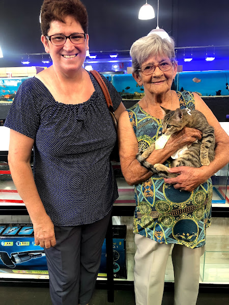 Foto 4 Pet Shop Boi Forte - Aquários e Lagos Projetados em Maringá