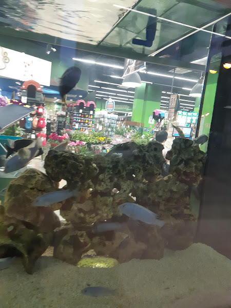 Foto 1 Cobasi Maringá