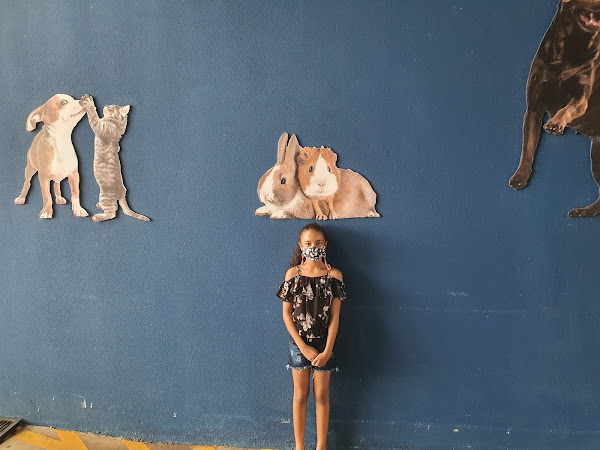 Foto 2 Cobasi Maringá