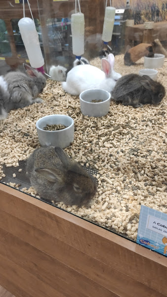 Foto 4 Cobasi Maringá