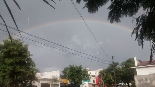 Foto 1 Pet Shop Ponto dos Animais