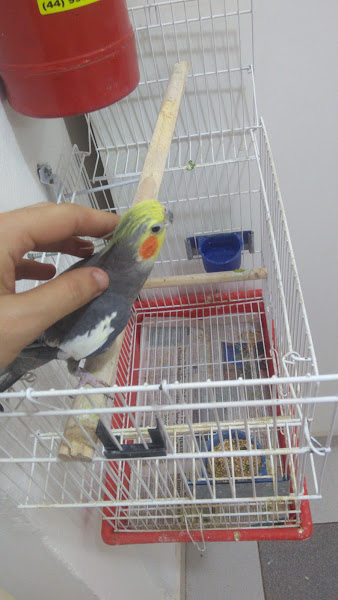 Foto 1 Pet Shop Zoo Pet