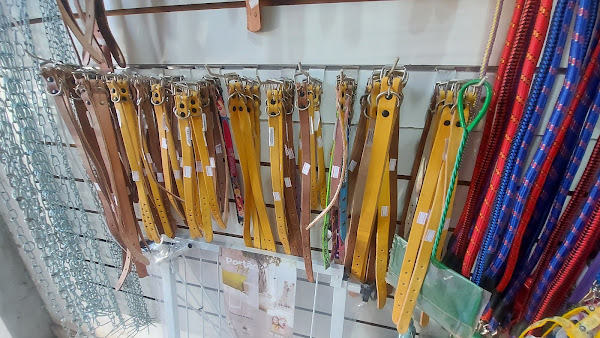 Foto 1 Ingá Pet Shop