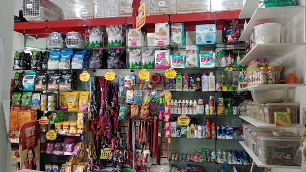 Foto 1 Pet Shop Rex Lemon