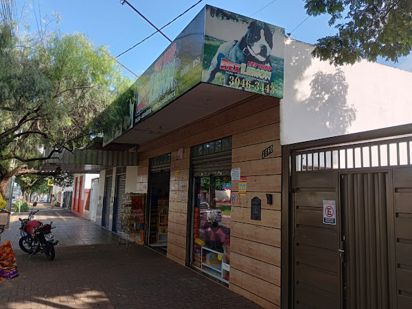 Foto 2 Pet Shop Rex Lemon