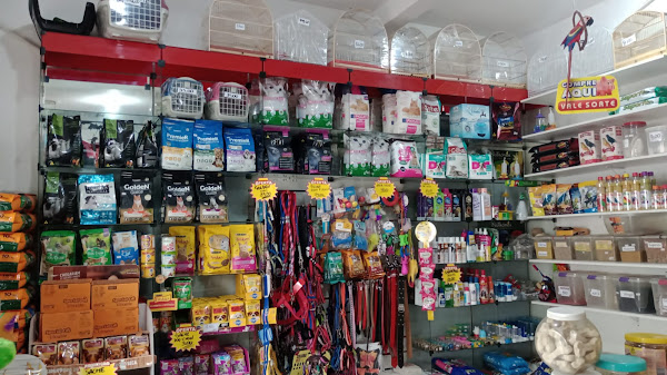 Foto 3 Pet Shop Rex Lemon