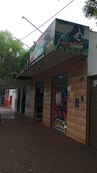 Foto 4 Pet Shop Rex Lemon