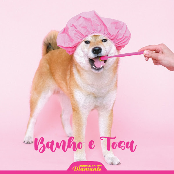 Foto 2 Agropecuária & Pet Shop Diamante