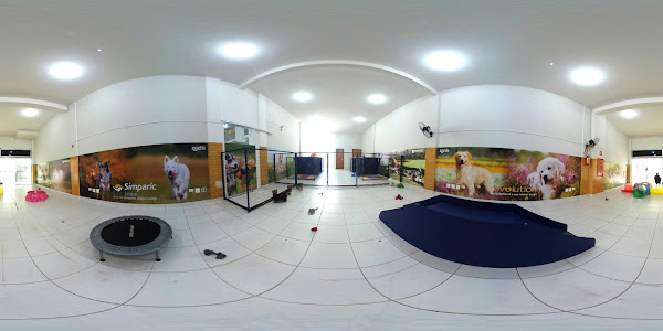 Foto 3 Mundo Patas Pet Shop