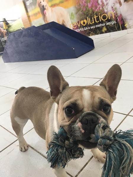 Foto 5 Mundo Patas Pet Shop