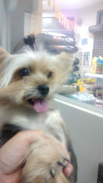 Foto 1 Pet Shop Estação dos Animais