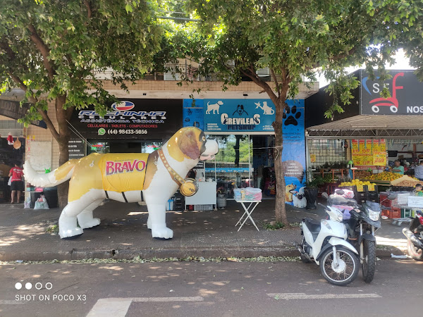 Pet Shop WWW Ponto Cao